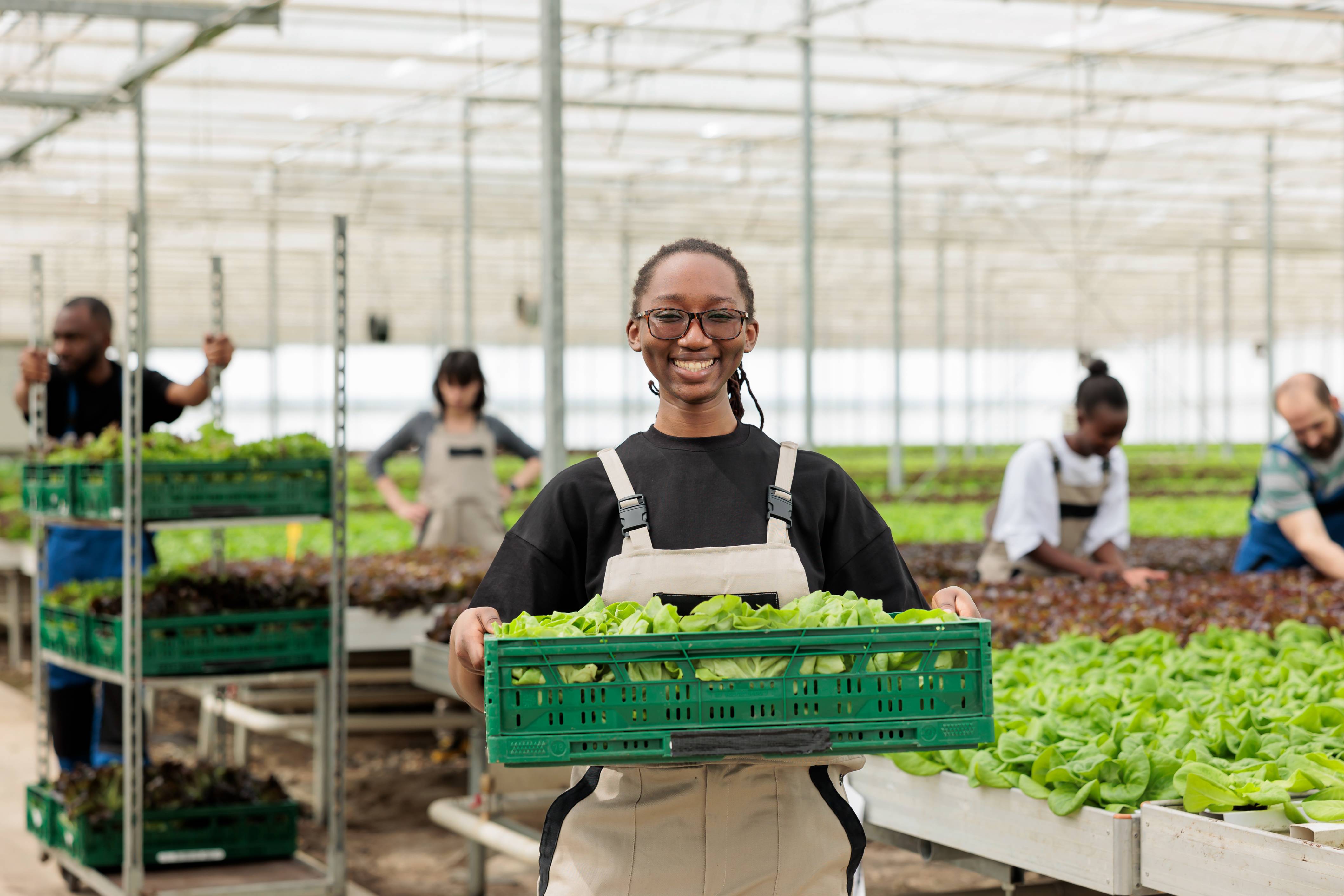 happy-cheerful-african-american-farm-worker-holding-crate-full-local-eco-friendly-ripe-leafy-greens-from-sustainable-crop-harvest-entrepreneurial-bio-permaculture-greenhouse-farm (1)